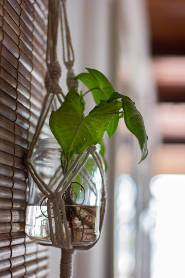 Buda Suites Cairu エクステリア 写真